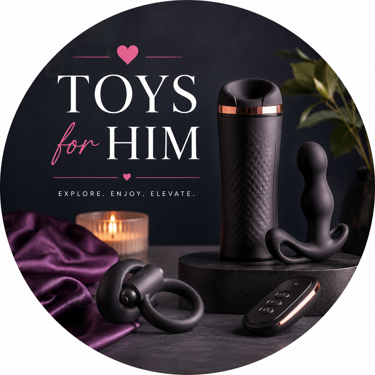 Toys for Him